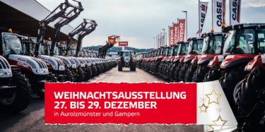 Weihnachtsausstellung